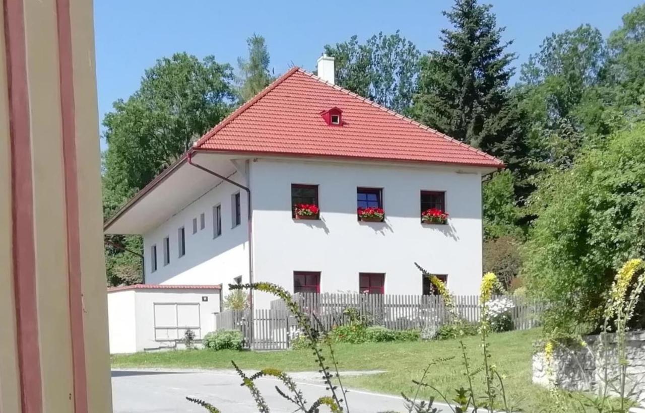 Ubytovani Praschlhaus Horní Planá Exteriör bild