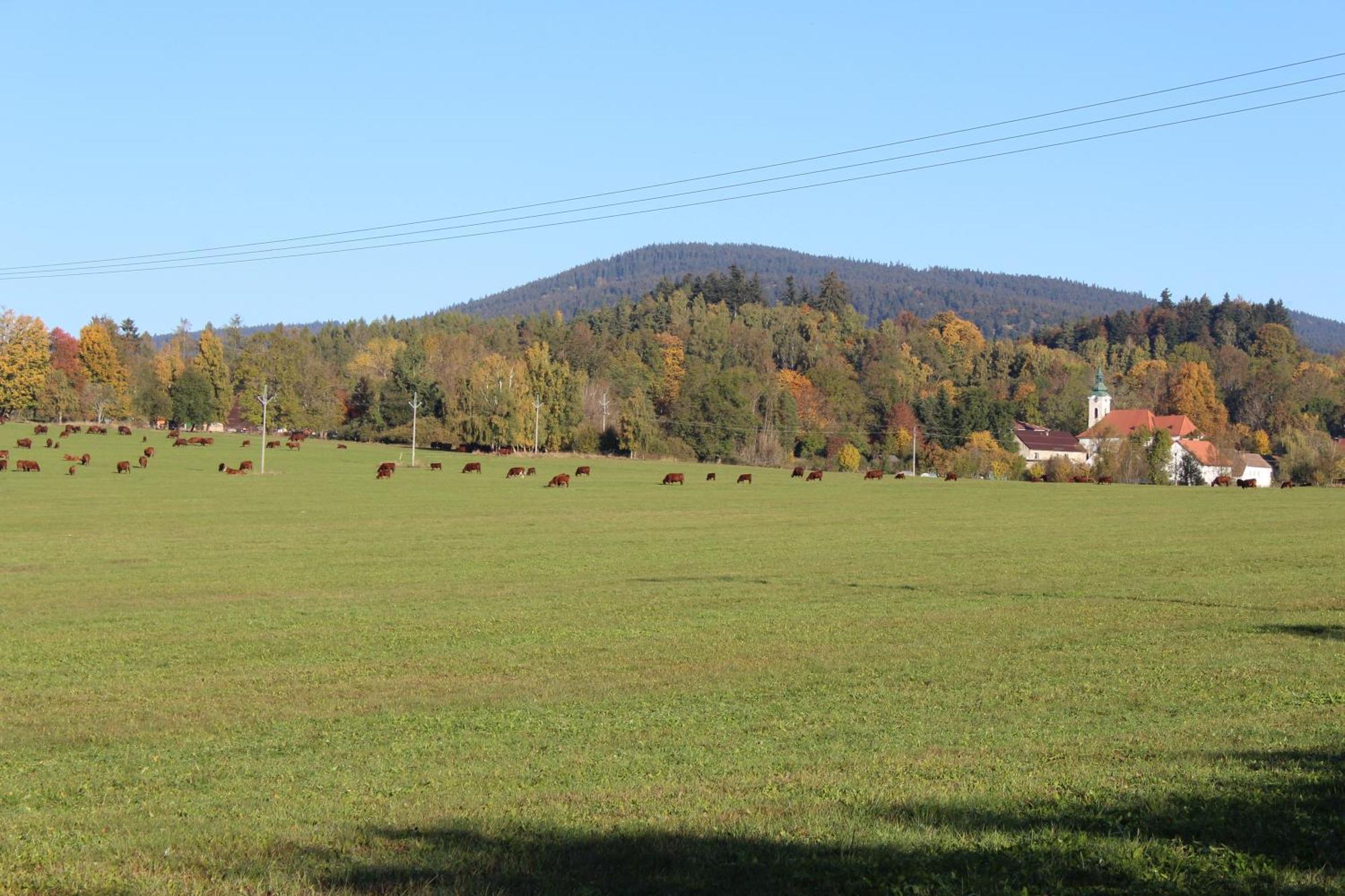Ubytovani Praschlhaus Horní Planá Exteriör bild