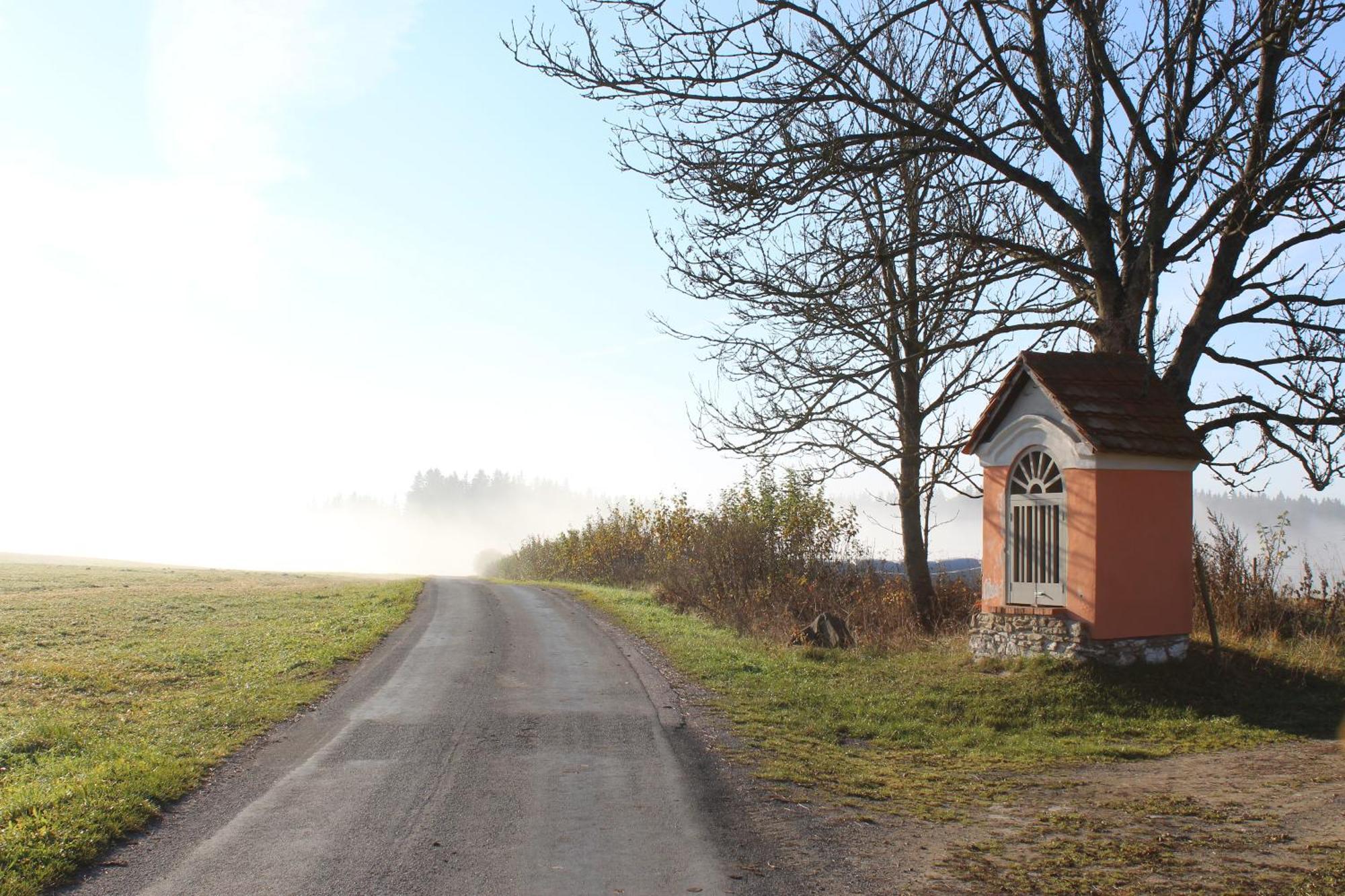 Ubytovani Praschlhaus Horní Planá Exteriör bild