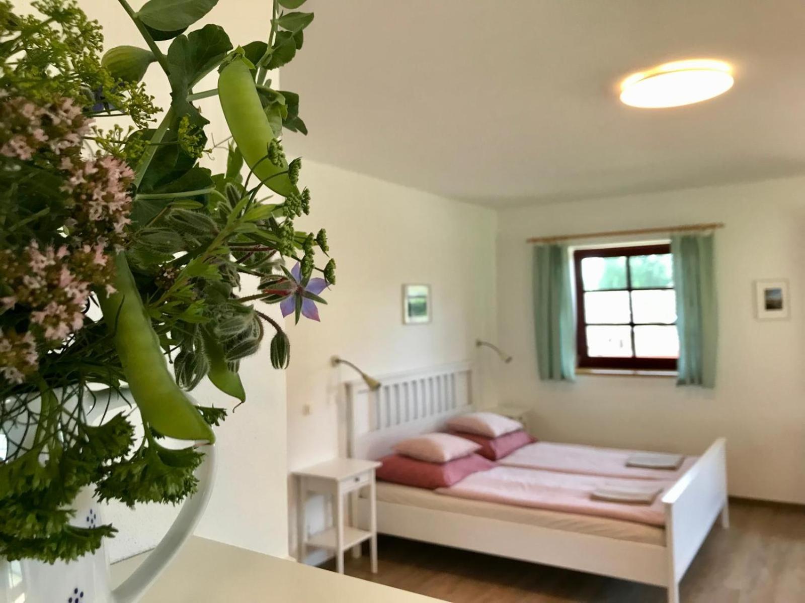 Ubytovani Praschlhaus Horní Planá Exteriör bild